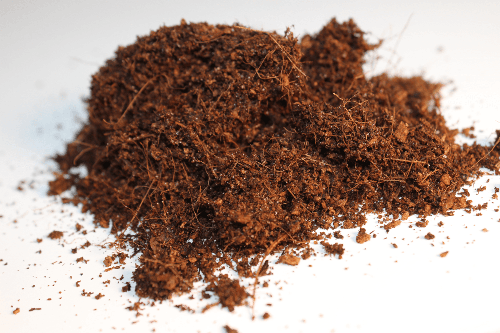 Fibre de coco : qu’est-ce que c’est et à quoi ça sert pour les plantes